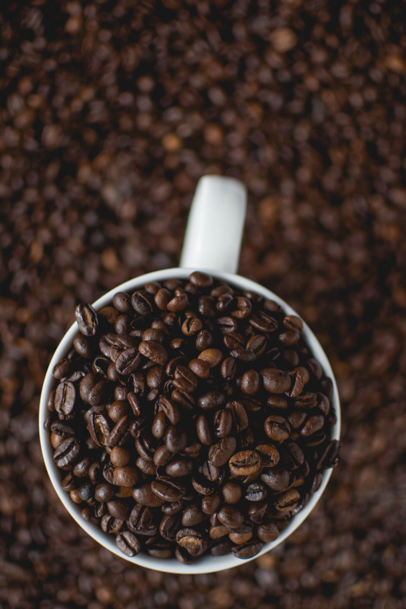 Koffiebonen Koffiebonen